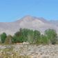 0 Las Flores & Owens Peak, Inyokern, CA 93527 ID:1140610