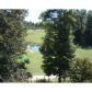 336 Blue Heron Bluff, Dawsonville, GA 30534 ID:2613141