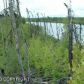 568 Loon Boulevard, Big Lake, AK 99652 ID:2984128