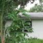 11685 Leisure Lane E, Largo, FL 33773 ID:4516022