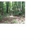 0 Ridge Road, Dawsonville, GA 30534 ID:2467003