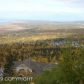 17027 Briarcliff Ridge Circle, Anchorage, AK 99516 ID:1520243