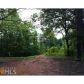 7066 Auraria Road, Dawsonville, GA 30534 ID:2956847