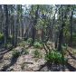 280 Vista View Parkway, Jasper, GA 30143 ID:2537628