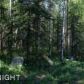 14058 W Kelli Jo Street, Big Lake, AK 99652 ID:2985977