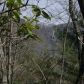 475 Amicalola Woods Dr, Dawsonville, GA 30534 ID:3293991