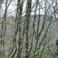 475 Amicalola Woods Dr, Dawsonville, GA 30534 ID:3293992