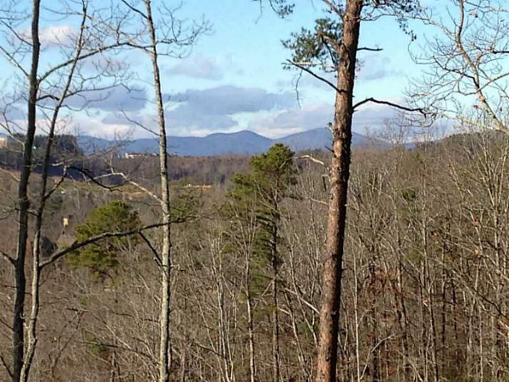 1013 Bear Paw Ridge, Dahlonega, GA 30533