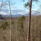 1013 Bear Paw Ridge, Dahlonega, GA 30533 ID:4554057