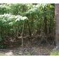 4 Sleepy Hollow Road, Dahlonega, GA 30533 ID:2454194