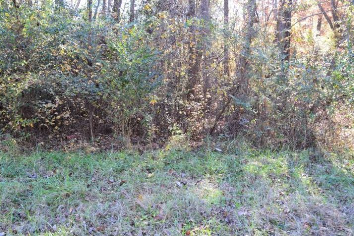 Lot 36 Althea Loop, Alexander City, AL 35010