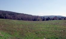 000 CASHDOLLAR COVE RD Walling, TN 38587