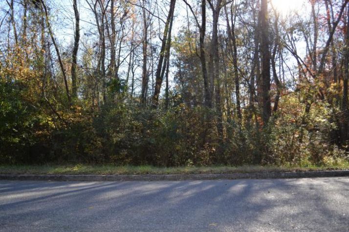 Lot 32Althea Loop, Alexander City, AL 35010