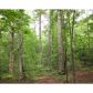 2317 Jones Mountain Road, Talking Rock, GA 30175 ID:2451842