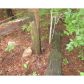 2317 Jones Mountain Road, Talking Rock, GA 30175 ID:2451843