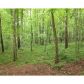 2317 Jones Mountain Road, Talking Rock, GA 30175 ID:2451849