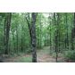 0 Woods Drive, Talking Rock, GA 30175 ID:2452301