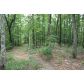 0 Woods Drive, Talking Rock, GA 30175 ID:2452302