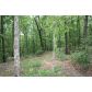 0 Woods Drive, Talking Rock, GA 30175 ID:2452303