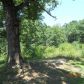 0 Indian Cove, Dawsonville, GA 30534 ID:3367113