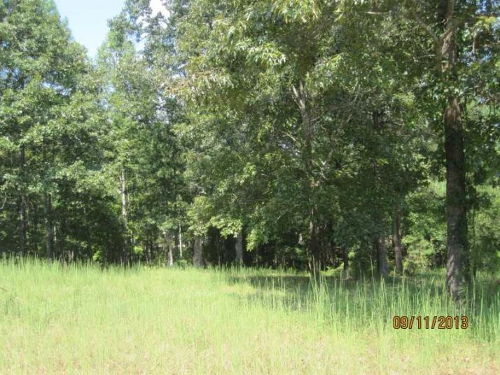 0 Roberts Way Tract 2 Way, Canton, GA 30114