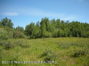 9650 RICKS ROAD, Tetonia, ID 83452