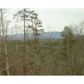 350 Gateway Drive, Ellijay, GA 30540 ID:2864608