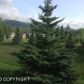 4045 Sycamore Loop, Anchorage, AK 99504 ID:1471866