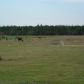 26610 Threemile Creek Rd, Elberta, AL 36530 ID:1075790