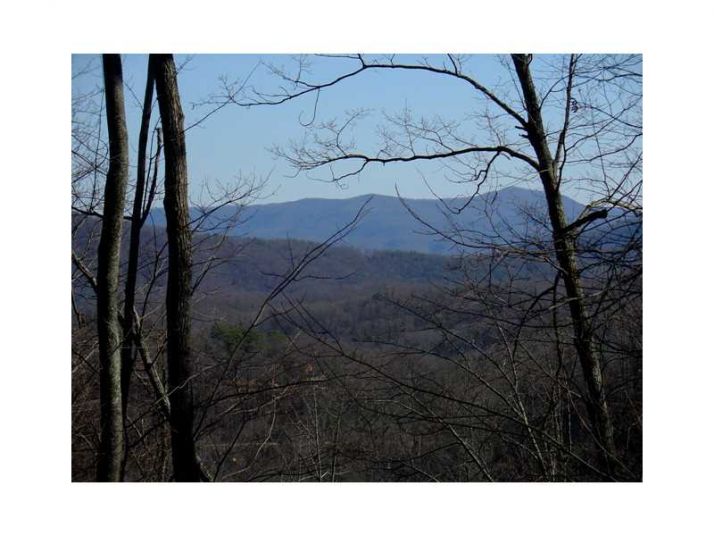 0 Mangums Trail, Blue Ridge, GA 30513