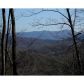 0 Mangums Trail, Blue Ridge, GA 30513 ID:2561196