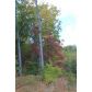 0 Mangums Trail, Blue Ridge, GA 30513 ID:2561200