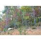 0 Mangums Trail, Blue Ridge, GA 30513 ID:2561201