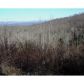 0 Mangums Trail, Blue Ridge, GA 30513 ID:2561198