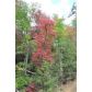 0 Mangums Trail, Blue Ridge, GA 30513 ID:2561202