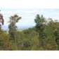 0 Mangums Trail, Blue Ridge, GA 30513 ID:2561203