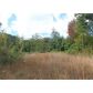 0 Mangums Trail, Blue Ridge, GA 30513 ID:2561205