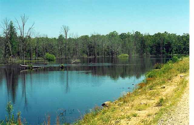 Lot 28-3 Paradise River Resort, Judsonia, AR 72081