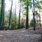 0 Soque Wilderness Road, Clarkesville, GA 30523 ID:4461158