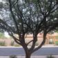 40214 N COURAGE Way, Phoenix, AZ 85086 ID:3482686