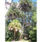 3416 LIGHTNER DR, Tampa, FL 33629 ID:3303609