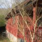389 Coal Run Hill, Pikeville, KY 41501 ID:1951144