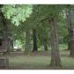 4312 Hollywood Highway, Clarkesville, GA 30523 ID:3424165