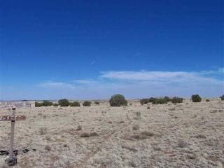 Lot 20 Buckskin Lane, Concho, AZ 85924