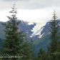 L13 B26 Vail Drive, Girdwood, AK 99587 ID:4092699