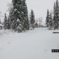 48903 Sirocco Dr, Soldotna, AK 99669 ID:4909635