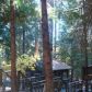 7701 Winding Way, Grizzly Flats, CA 95636 ID:1796264