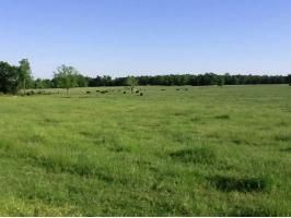 803 Peace Valley Road, Ash Flat, AR 72513