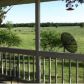 803 Peace Valley Road, Ash Flat, AR 72513 ID:1169929