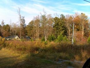 0 County Road 1303, Cullman, AL 35058